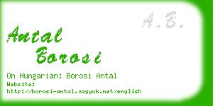 antal borosi business card